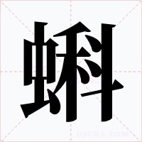蝌字字形