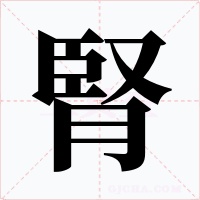 腎字字形