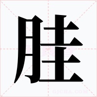 胿字的字形和写法