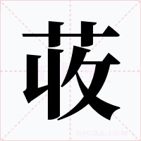荍字字形