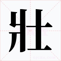 壯字字形