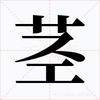 茎字的字形和写法