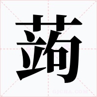 蒟字的字形和写法