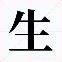 生字字形