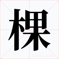 棵字的字形和写法