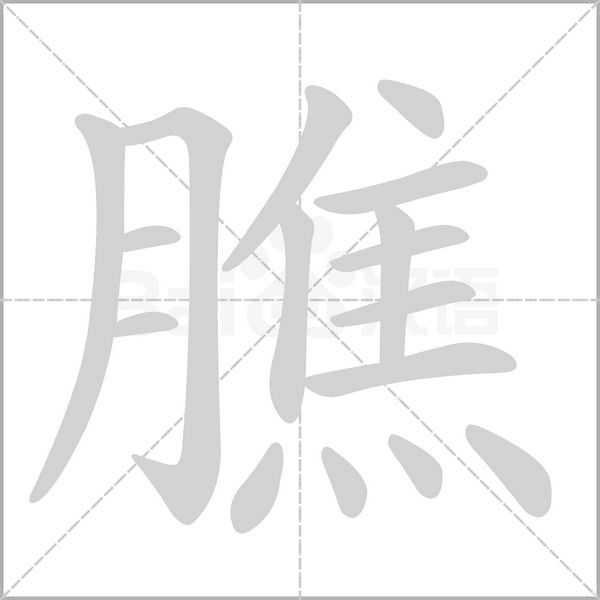 膲字笔顺图
