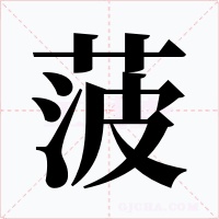 菠字字形