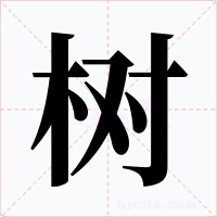 树字的字形和写法