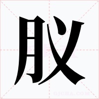 肞字的字形和写法