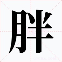 胖字的字形和写法