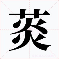 菼字字形