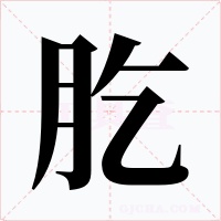 肐字的字形和写法