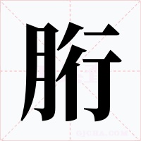 胻字的字形和写法