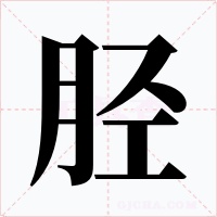 胫字的字形和写法