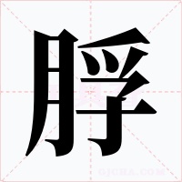 脬字字形