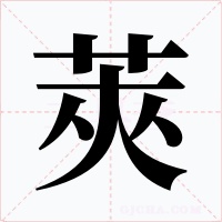 莢字的字形和写法