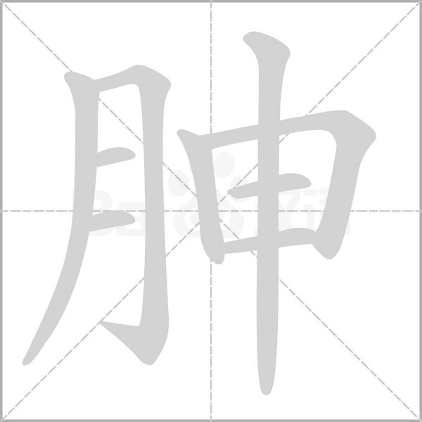 胂字笔顺图