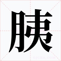 胰字的字形和写法