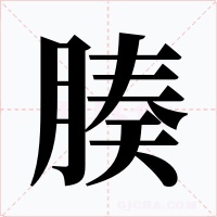 腠字字形