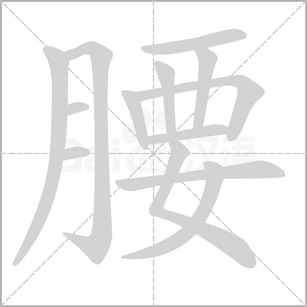 腰字笔顺图