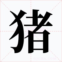 猪字的字形和写法