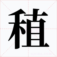 稙字的字形和写法