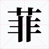 菲字的字形和写法