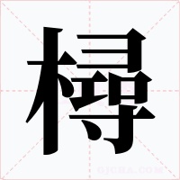 樳字字形