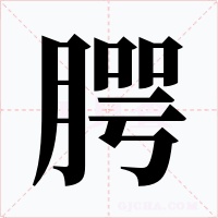 腭字字形