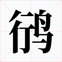 鸻字字形