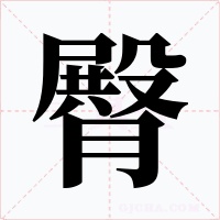 臀字的字形和写法