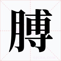 膊字字形