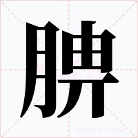 腗字的字形和写法