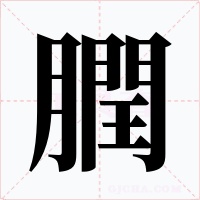 膶字的字形和写法