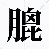 膍字的字形和写法