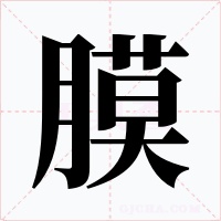 膜字字形
