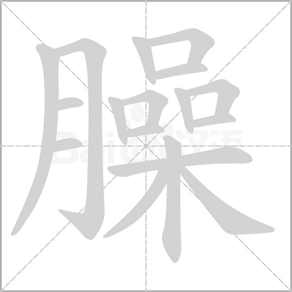 臊字笔顺图
