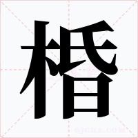 棔字的字形和写法