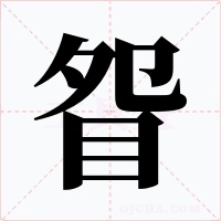 眢字的字形和写法