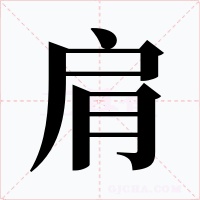 肩字的字形和写法