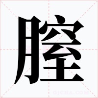膣字字形