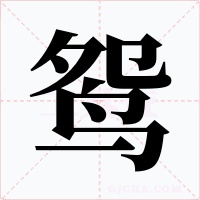 鸳字的字形和写法