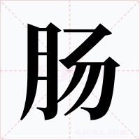 肠字的字形和写法