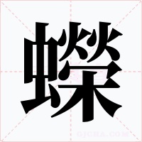 蠑字字形
