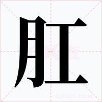 肛字的字形和写法