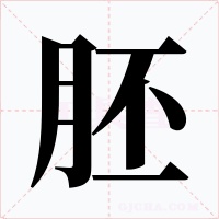 胚字的字形和写法