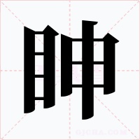 眒字字形