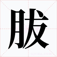 胈字字形