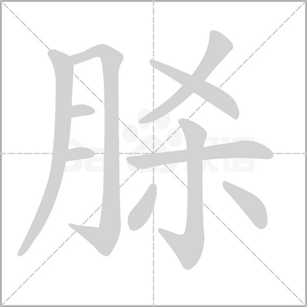 脎字笔顺图
