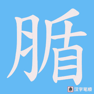 腯字笔顺图